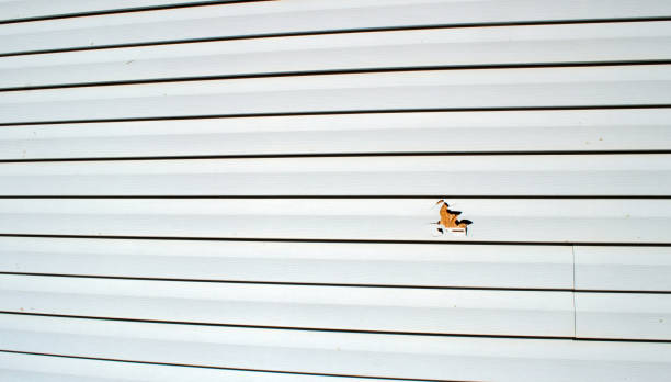 Best Stucco Siding  in Newington, VA