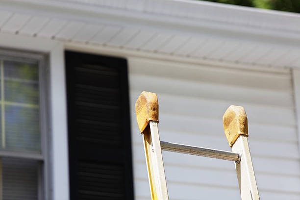 Best Historical Building Siding Restoration  in Newington, VA